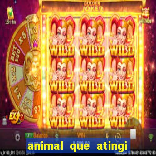 animal que atingi 230 decibeis